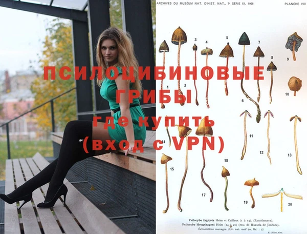 гашиш Новокубанск